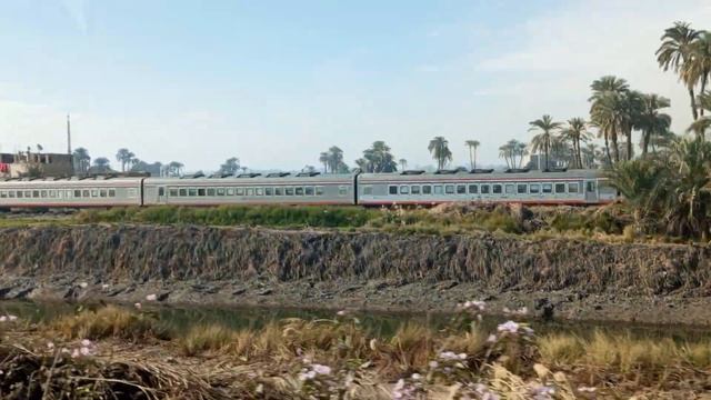 Египетский поезд из Люксора смотреть онлайн