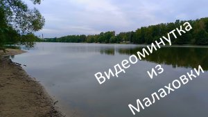 Видеоминутка из Малаховки