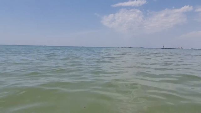 Дельфин рядом с нами. Посёлок Волна. Чёрное море. смотреть онлайн