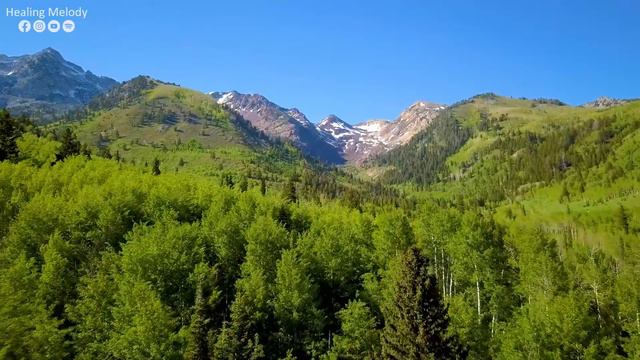 Musica Para Relajar El Sistema Nervioso 🌿 Olvida Todo Tu Estrés Y Preocupaciones Con Estos Sonidos