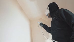 Покраска стен краской Little Greene. Рабочий процесс. аппарат аспро 2700.