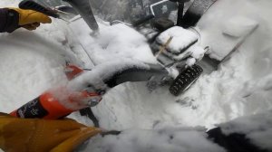 Yanis Blizzard M24DL