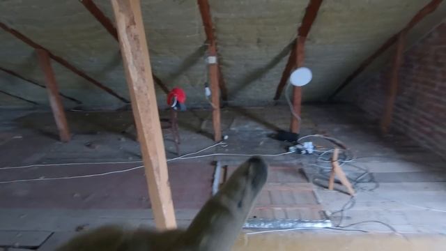 Поповнення в сімейку пані Марії/ Утеплення даху мінватою/ Продовження ремонту