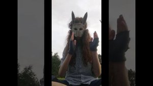 Моя версия клипа Harpy Hare 🍃👁️