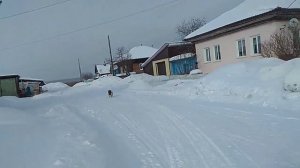 Буран 4 тд по деревне / Buran 4 TD on the village