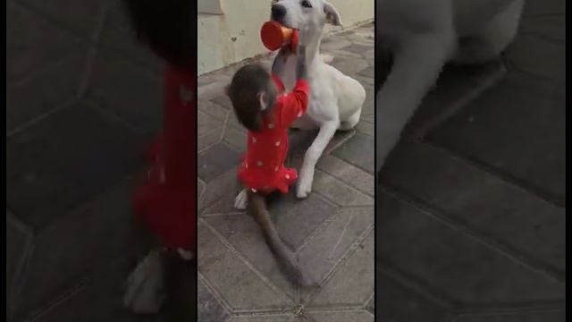 Никуша со своими друзьями  прошёл дождик на улице хорошая погода не жарко.