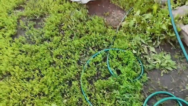 Перосъемная машина v 1.0 DIY часть последняя. смотреть онлайн