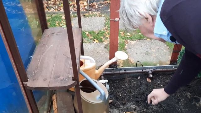 Сбор дождевой воды для капельного полива