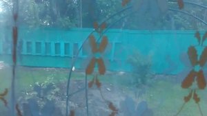 Дача в Подмосковье 17.06.2016 По пятницам попадаю в эти Уют, Чистоту, Аккуратность!