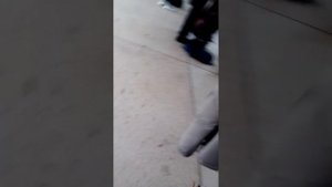 Учебная пожарная тревога в школе номер 97, Железногорск, красноярский край.