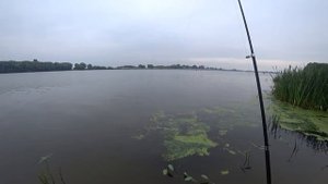 ЛЕЩ НА САЛО! БЕШЕНЫЕ ПОКЛЕВКИ НА ДОНКИ! РЫБАЛКА НА ОКЕ