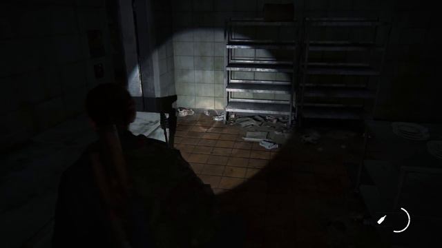 Прохождение The Last of Us 2 (Одни из нас 2) — Часть 21：Короткий путь