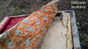 МОЯ ВЕНТИЛЯЦИЯ В УЛЬЯХ.Уже плесень