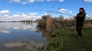 Карп и карась на флэт фидер в апреле. Учусь ловить карпа.