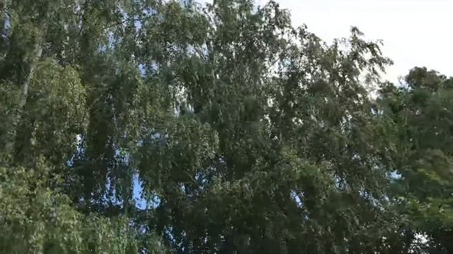 Ижевск-Парк Горького: Колесо Обозрения ...аттракционы