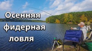 Осенняя ловля подлещика