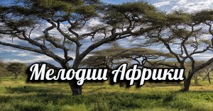 Мелодии Африки.mp4