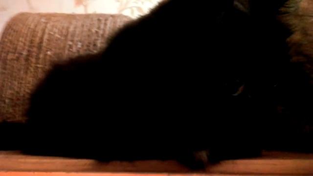 Картонные космонавты смотреть онлайн