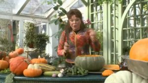 Огурцы / Засолка огурцов в тыкве