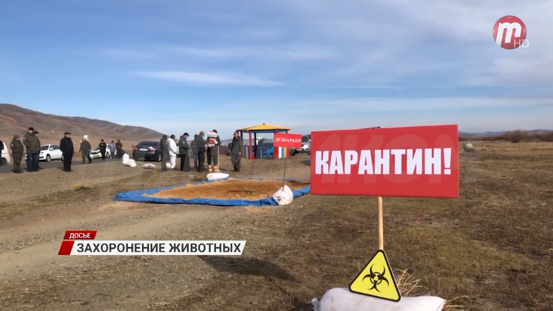Улан-удэнцев будут штрафовать за самовольные захоронения домашних животных