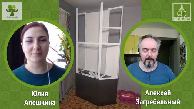 #ФИТОСТРИМ 1 : Ответы на вопросы по флорариумам и растениям