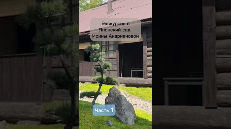 Экскурсия Клуба Архитекторов Деревьев в японский сад Ирины Андриановой. Часть 1. #бонсай