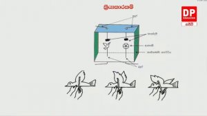 🔴 LIVE CLASS | 2022 ශිෂ්යත්ව විභාගයට අත්වැලක් | 2022.07.14