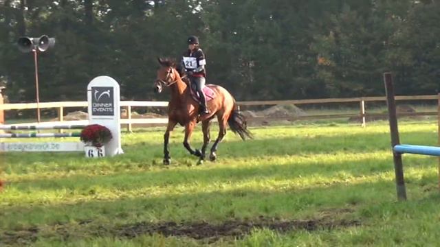 15 - Merkplas - Imelda - 80 cm смотреть онлайн