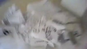 Рассказываю как можно сделать переноску для хомяков