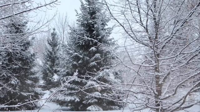 Звук метели и вьюги для сна, отдыха и медитации смотреть онлайн