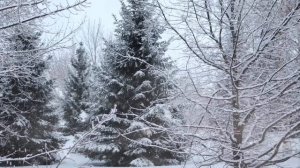 Звук метели и вьюги для сна, отдыха и медитации