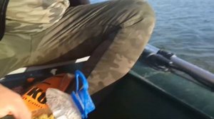 Ловля карпа в завоз!