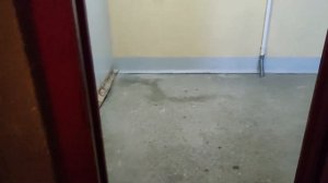 Дребезжащий лифт МЛМ 2000 г.в. по адресу: Ул. Чкалова 43 к1