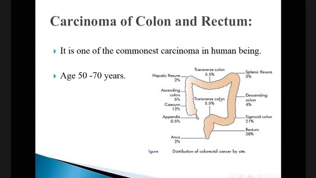 GIT Surgery | Small & Large Intestines #5 смотреть онлайн