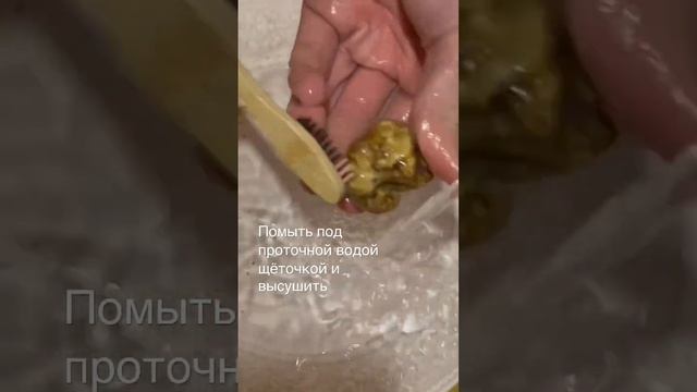 Трюфель белый @tartufobiancoalba @Tartufobiancodalba