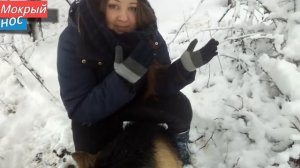 Собака МЁРЗНЕТ ЗИМОЙ, забирать ли в ДОМ? Мокрый нос