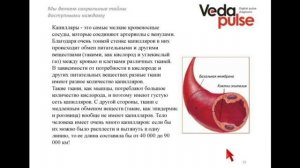 Физиология сосудистой системы