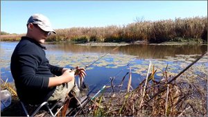 В ЭТОЙ ЛУЖЕ ВОДЯТСЯ ОГРОМНЫЕ РОТАНЫ!!! ДАВНО Я ТАКИХ НЕ ЛОВИЛ!!! Ловля ротана на поплавок осенью.