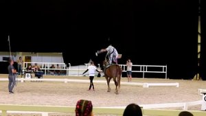 Вольтижировка Иппосфера 09.08.18