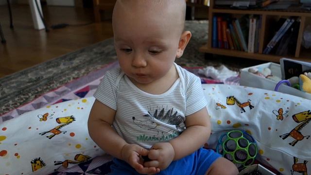 Алекс и ежевика смотреть онлайн