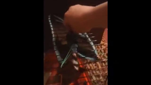 Хорек Соня смотреть онлайн