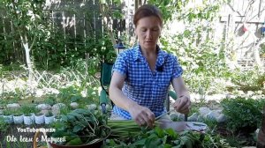 ВКУСНАЯ И ПОЛЕЗНАЯ ЗАГОТОВКА ИЗ СОРНЯКА СНЫТЬ
