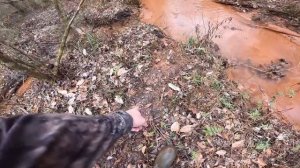 Hunting My FIRST WHITETAIL BUCK Ever!! **Catch Clean Cook DEER HEART**