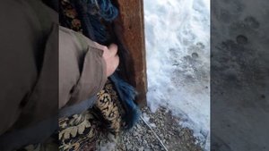 содержание русской пегой гончей в сибирские морозы.