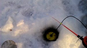 Ловля окуня на живца озеро Андреевское Тюмень