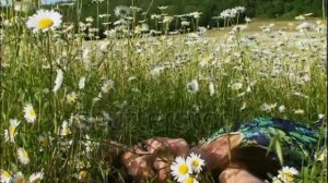 Все Равно Моею Станешь Ты- исп.Андрей Романов