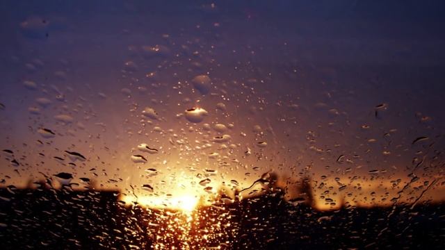 Юлия Зельвинская.  Разные люди.