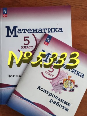 математика 5 класс номер 5.333