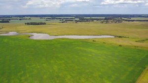 Озеро Бам,Ордынский район, п.Степной