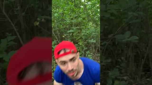 Как я нашёл маленького котёнка в заброшенной канализации… смотреть онлайн